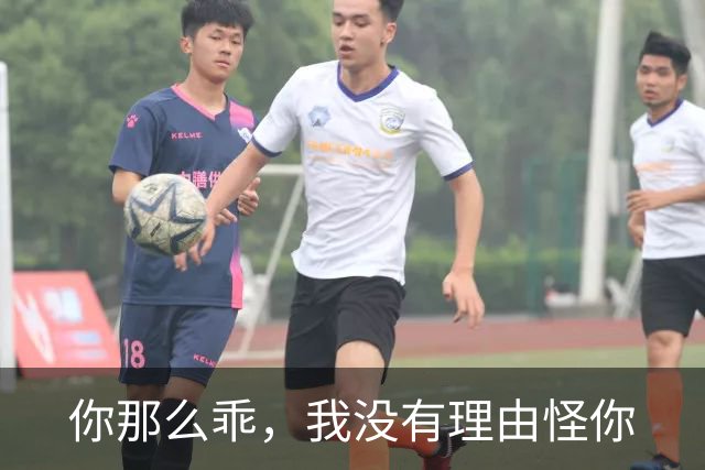 你那么乖，我没有理由怪你