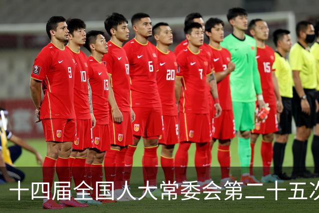 十四届全国人大常委会第二十五次会议11月2日至6日举行