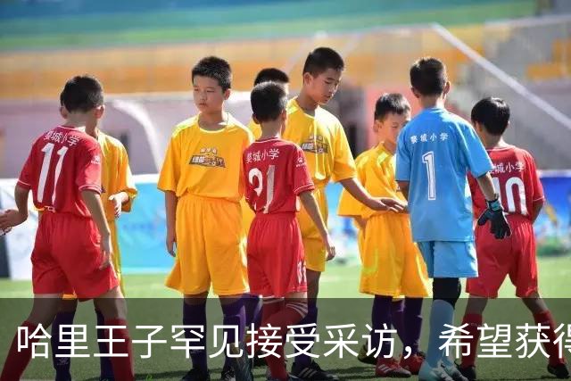 哈里王子罕见接受采访，希望获得威廉王子谅解，却依旧拒绝承认错误