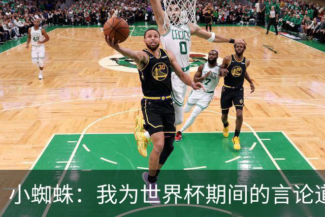 小蜘蛛：我为世界杯期间的言论道歉，换作我是球迷也会生气