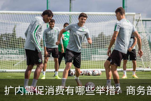 扩内需促消费有哪些举措？商务部：推动商品消费扩容升级、持续扩大服务消费、梯次释放不同区域消费潜力