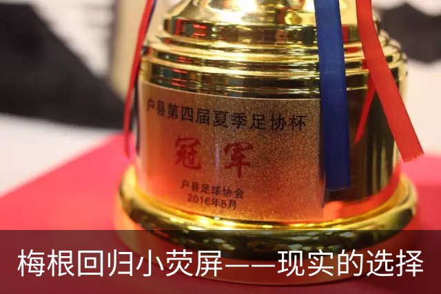 梅根回归小荧屏——现实的选择