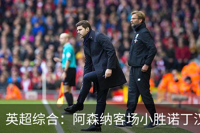 英超综合：阿森纳客场小胜诺丁汉森林