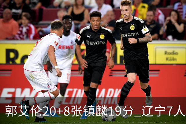 郭艾伦20+8张镇麟19分 辽宁7人上双力克深圳