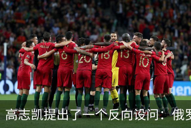 高志凯提出了一个反向设问：俄罗斯既然觉得经蒙古向中国输气是一条好路，也可以让俄气先进入中国，再借中国管网送往印度，印度愿意吗？