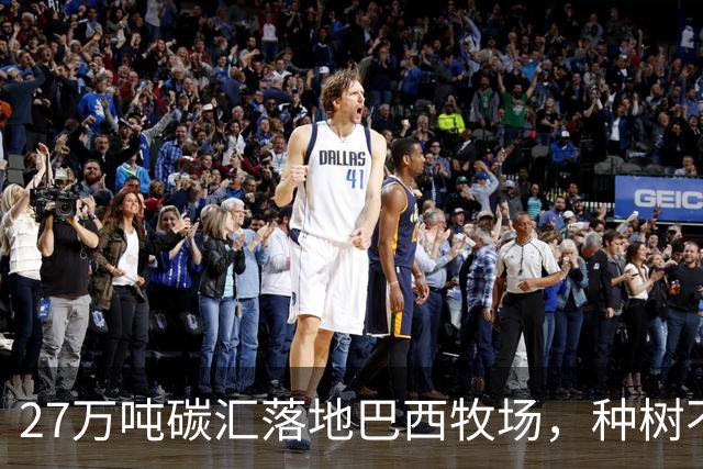 27万吨碳汇落地巴西牧场，种树不赶牛还能多一份收入