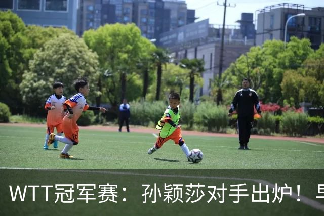 WTT冠军赛：孙颖莎对手出炉！早田希娜3-1胜斯佐科斯晋级8强